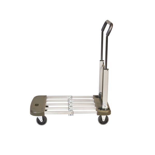 Chariot 150 kg pliable-1